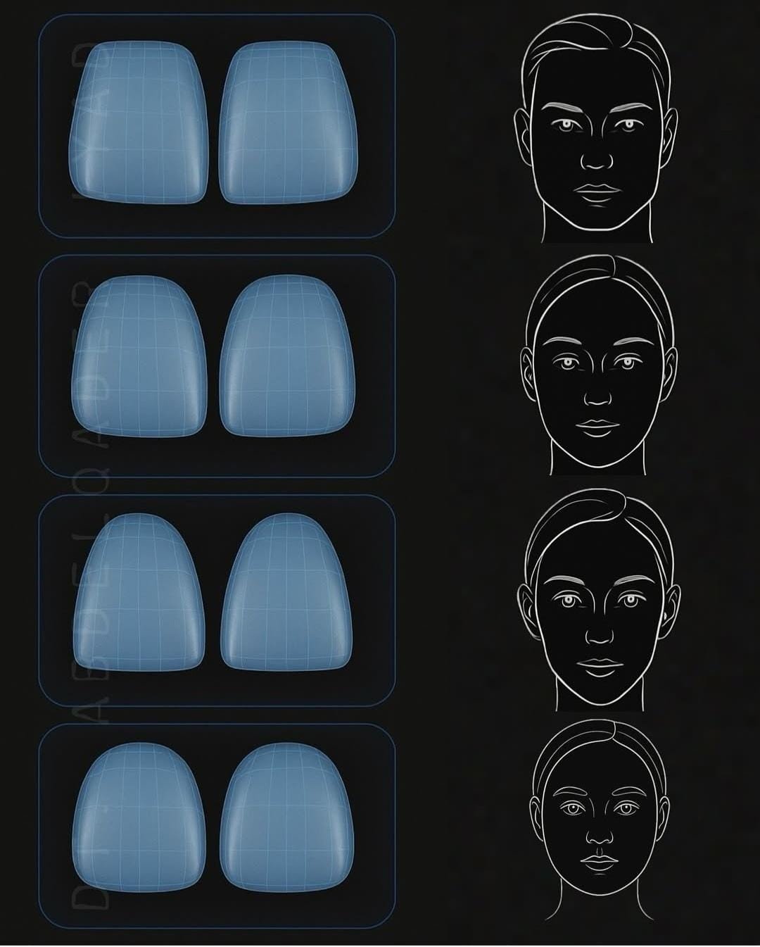 a1 Facial shape and teeth shape